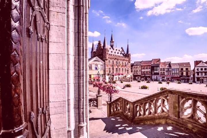 11 escort profiles in Schendelbeke, Belgium. Browse companions, services, rates and book online. Incall and outcall available.