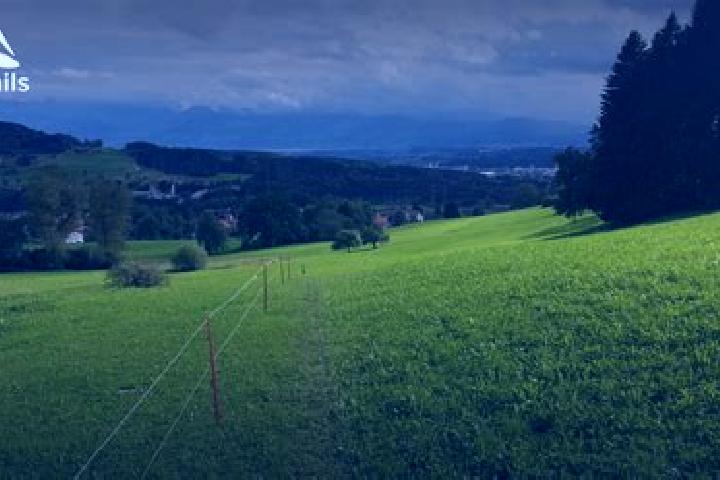 11 escort profiles in Seuzach Dorf / Puenten-Ifang, Switzerland. Browse companions, services, rates and book online. Incall and outcall available.