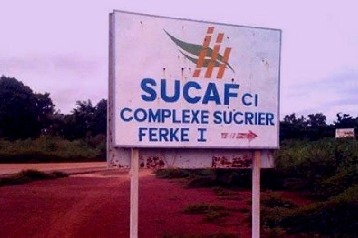 11 escort profiles in Sucaf Ci Village, Ivory Coast. Browse companions, services, rates and book online. Incall and outcall available.