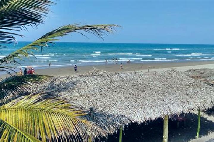 11 escort profiles in Tecolutla, Mexico. Browse companions, services, rates and book online. Incall and outcall available.