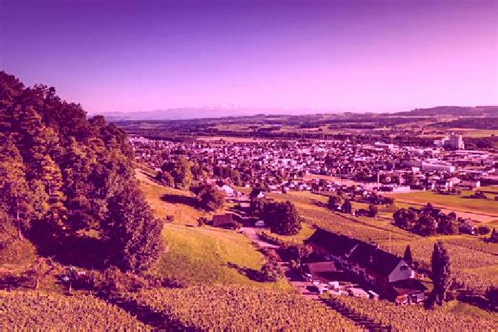 11 escort profiles in Weinfelden, Switzerland. Browse companions, services, rates and book online. Incall and outcall available.