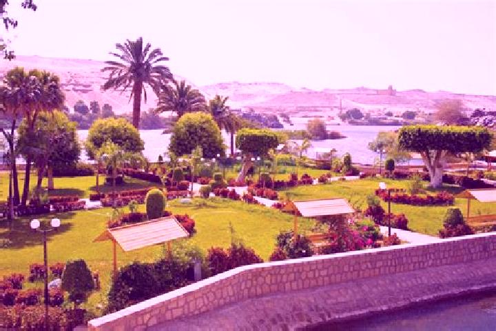 12 escort profiles in Aswan, Egypt. Browse companions, services, rates and book online. Incall and outcall available.