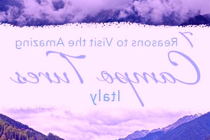 12 escort profiles in Campo Tures, Italy. Browse companions, services, rates and book online. Incall and outcall available.