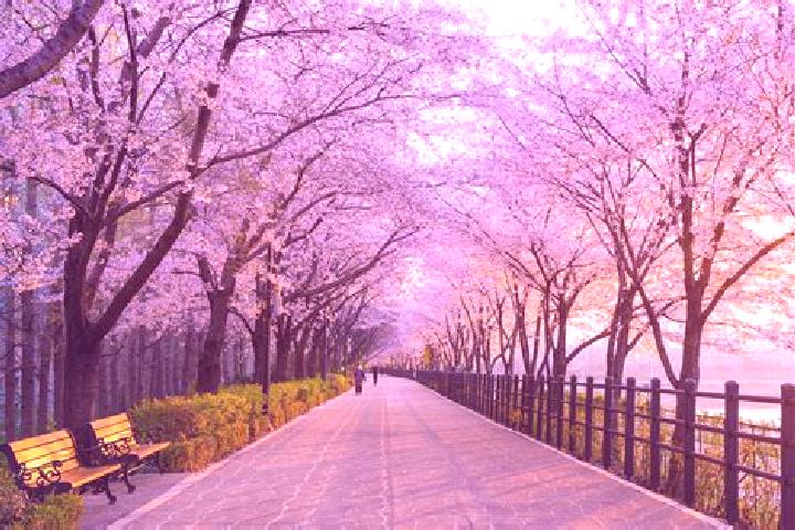 12 escort profiles in Chongju, North Korea. Browse companions, services, rates and book online. Incall and outcall available.