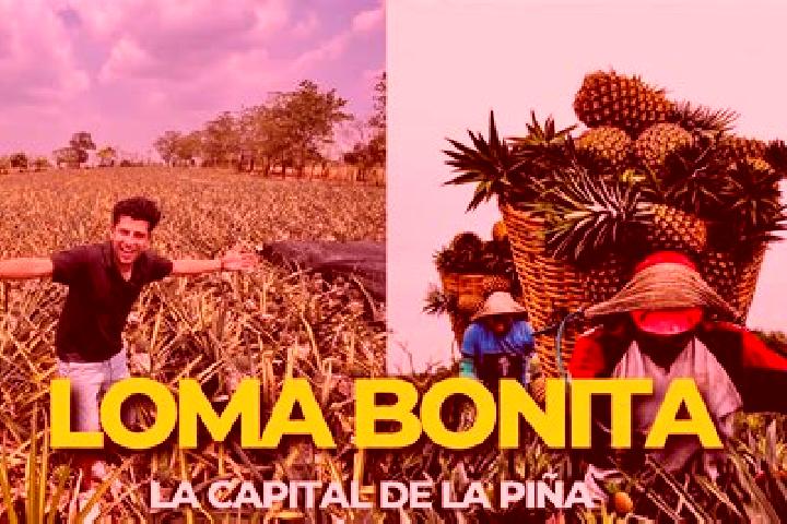 12 escort profiles in Colonia Loma Bonita, Mexico. Browse companions, services, rates and book online. Incall and outcall available.