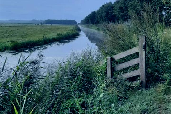 12 escort profiles in De Knipe, Netherlands. Browse companions, services, rates and book online. Incall and outcall available.