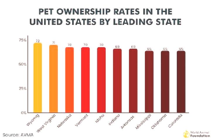 12 escort profiles in Dyersburg, United States. Browse companions, services, rates and book online. Incall and outcall available.