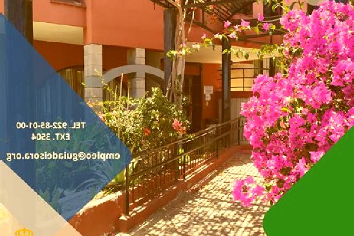 12 escort profiles in Guia de Isora, Spain. Browse companions, services, rates and book online. Incall and outcall available.