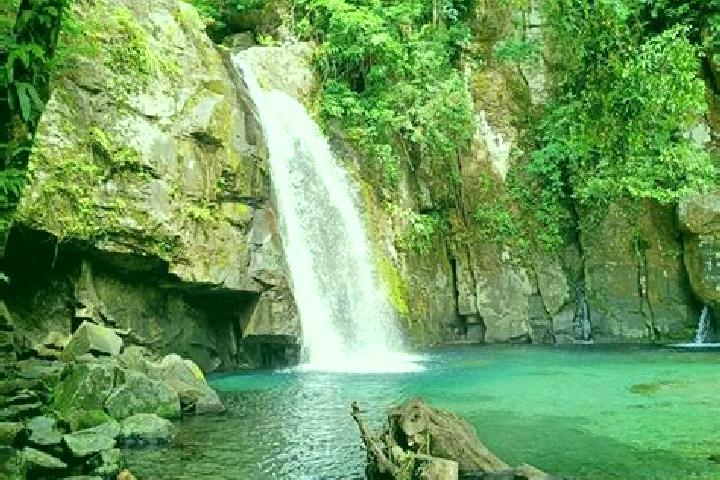 12 escort profiles in Guinobatan, Philippines. Browse companions, services, rates and book online. Incall and outcall available.