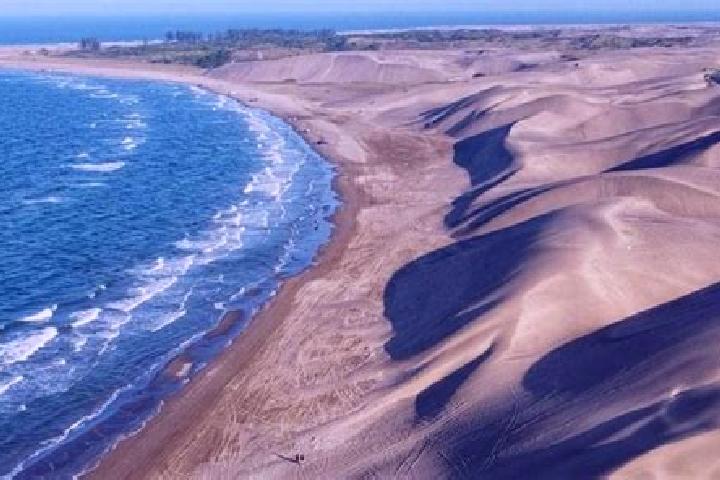 12 escort profiles in Hacienda Sotavento, Mexico. Browse companions, services, rates and book online. Incall and outcall available.