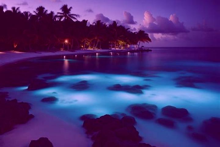 12 escort profiles in Half Moon Bay, Cayman Islands. Browse companions, services, rates and book online. Incall and outcall available.
