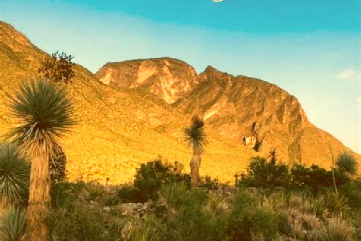 12 escort profiles in La Flor de Jimulco, Mexico. Browse companions, services, rates and book online. Incall and outcall available.