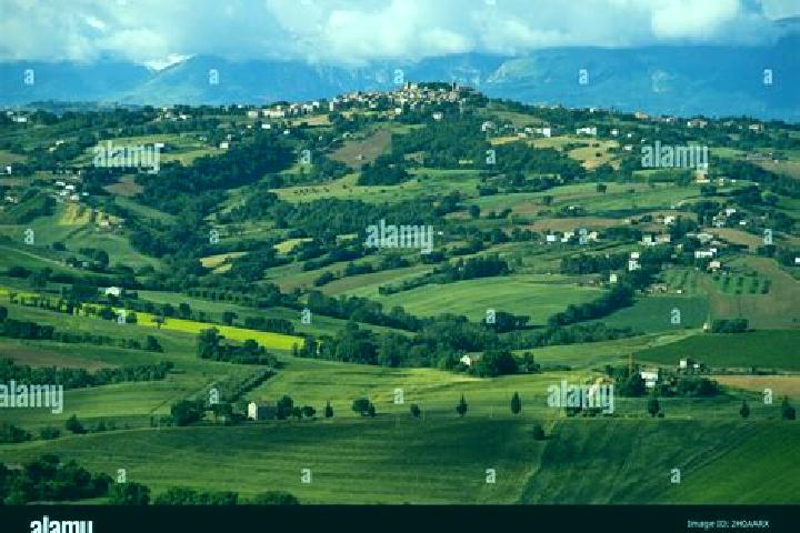 12 escort profiles in Loro Piceno, Italy. Browse companions, services, rates and book online. Incall and outcall available.