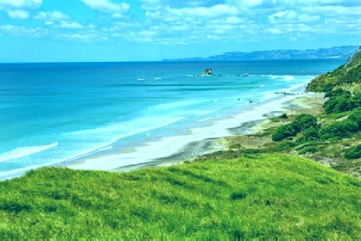 12 escort profiles in Mangawhai, New Zealand. Browse companions, services, rates and book online. Incall and outcall available.