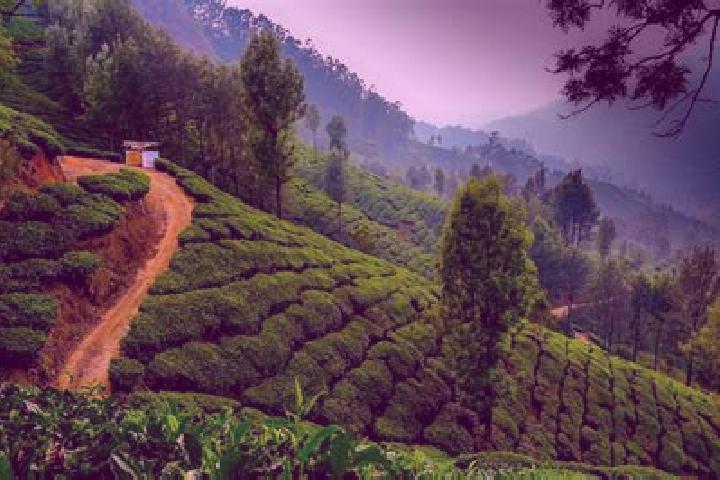 12 escort profiles in Munnar, India. Browse companions, services, rates and book online. Incall and outcall available.