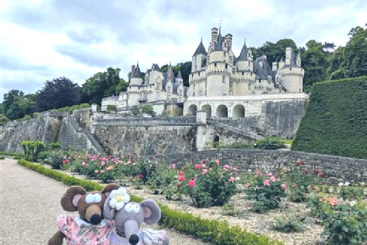 12 escort profiles in Rigny-Usse, France. Browse companions, services, rates and book online. Incall and outcall available.