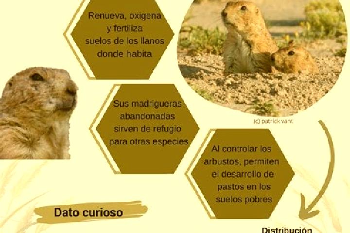 12 escort profiles in Rincones de la Pradera, Mexico. Browse companions, services, rates and book online. Incall and outcall available.