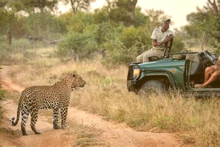 12 escort profiles in Sabi-Sand Game Reserve, South Africa. Browse companions, services, rates and book online. Incall and outcall available.
