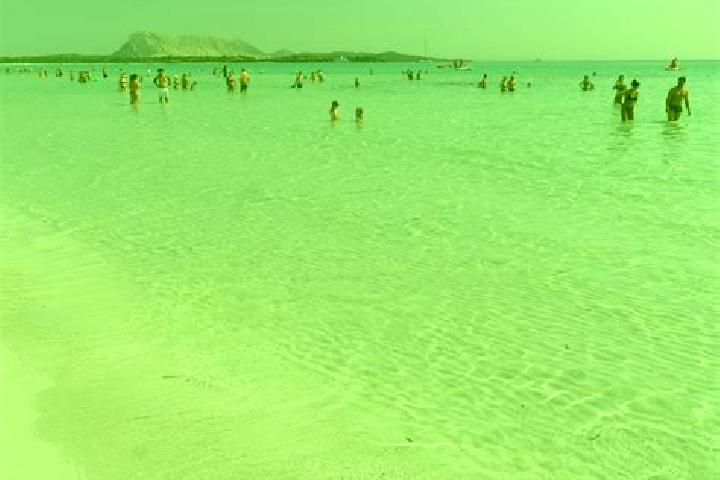 12 escort profiles in San Teodoro, Italy. Browse companions, services, rates and book online. Incall and outcall available.