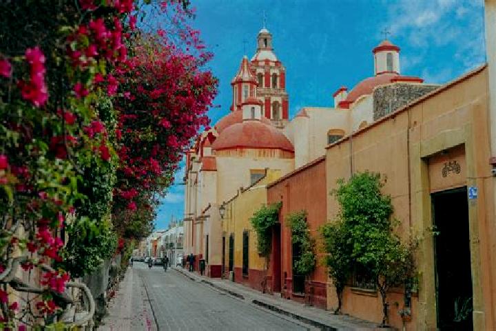 12 escort profiles in Santa Rosa Finca, Mexico. Browse companions, services, rates and book online. Incall and outcall available.