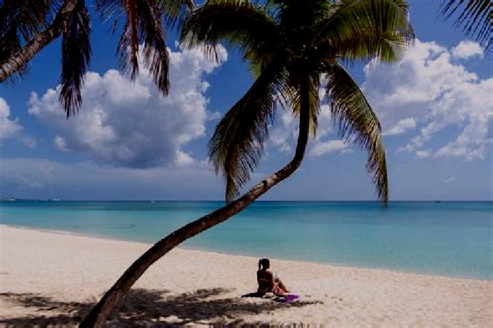 12 escort profiles in Seven Miles, Cayman Islands. Browse companions, services, rates and book online. Incall and outcall available.