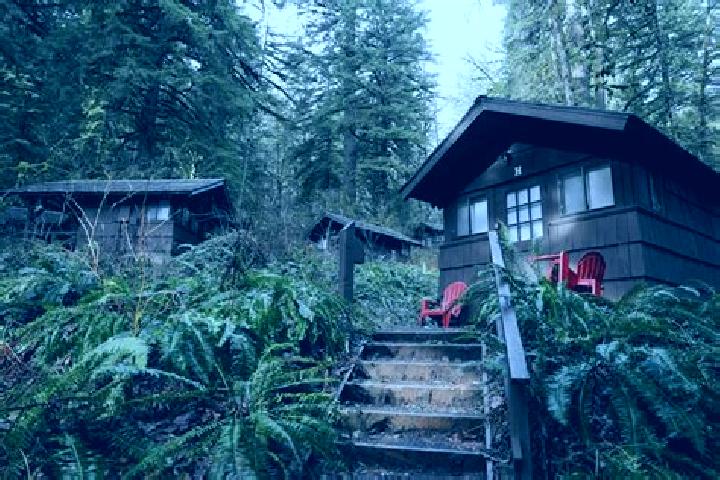 12 escort profiles in Smith Creek, Canada. Browse companions, services, rates and book online. Incall and outcall available.