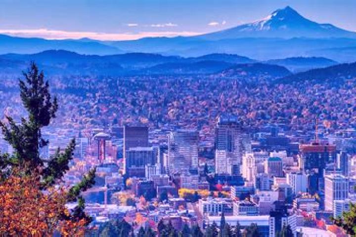 12 escort profiles in Vernonia, United States. Browse companions, services, rates and book online. Incall and outcall available.