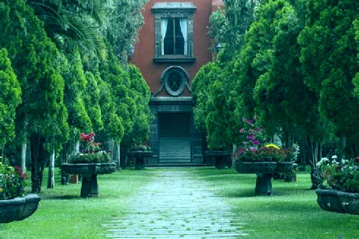 12 escort profiles in Viborillas de Hidalgo, Mexico. Browse companions, services, rates and book online. Incall and outcall available.