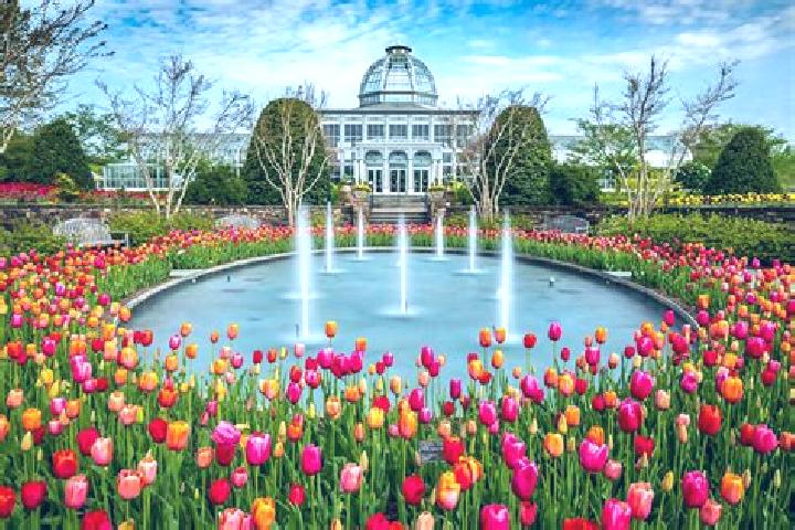 12 escort profiles in Winter Gardens, United States. Browse companions, services, rates and book online. Incall and outcall available.