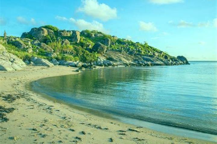 12 escort profiles in Yirrkala, Australia. Browse companions, services, rates and book online. Incall and outcall available.