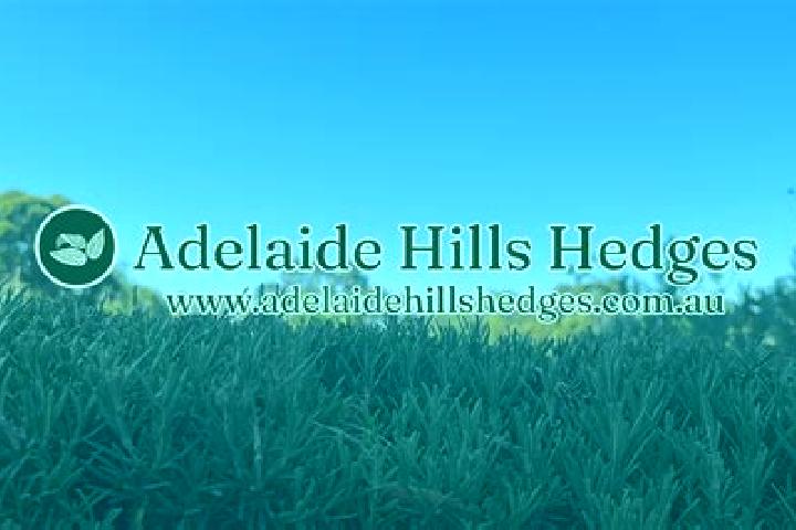 13 escort profiles in Adelaide Hills, Australia. Browse companions, services, rates and book online. Incall and outcall available.