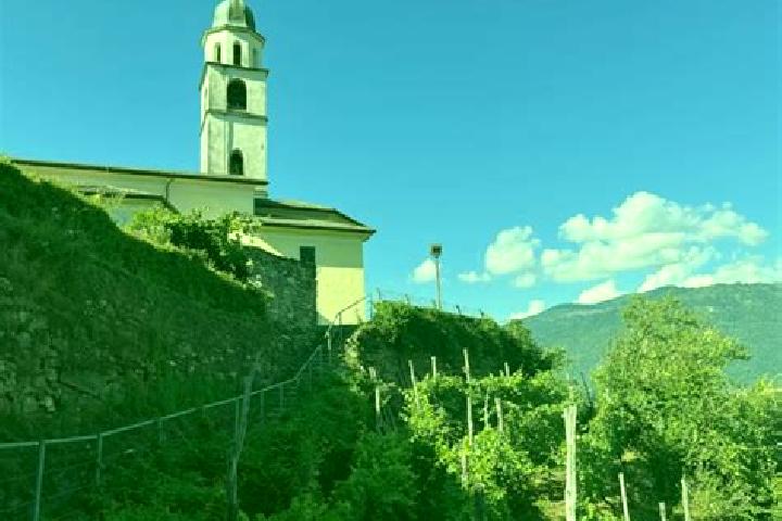 13 escort profiles in Calceranica al Lago, Italy. Browse companions, services, rates and book online. Incall and outcall available.