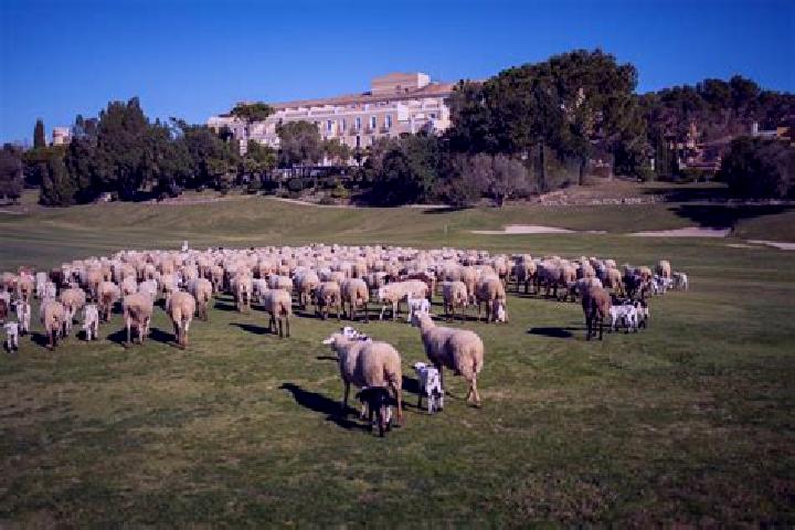 13 escort profiles in Castillo de Bayuela, Spain. Browse companions, services, rates and book online. Incall and outcall available.