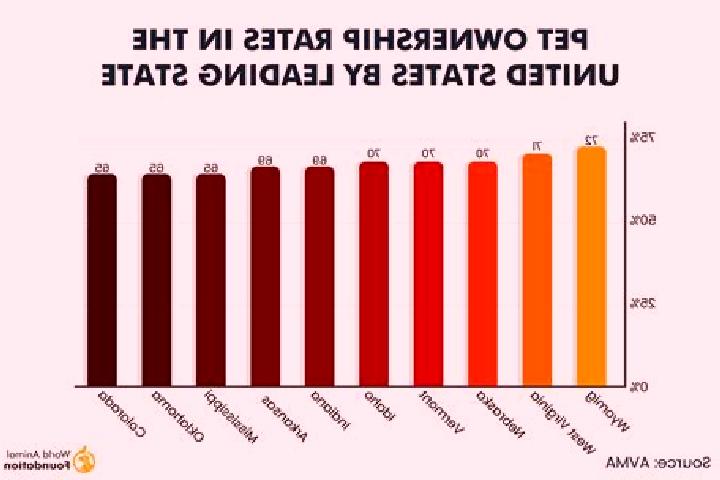 13 escort profiles in Des Allemands, United States. Browse companions, services, rates and book online. Incall and outcall available.
