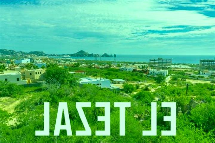 13 escort profiles in El Tezal, Mexico. Browse companions, services, rates and book online. Incall and outcall available.
