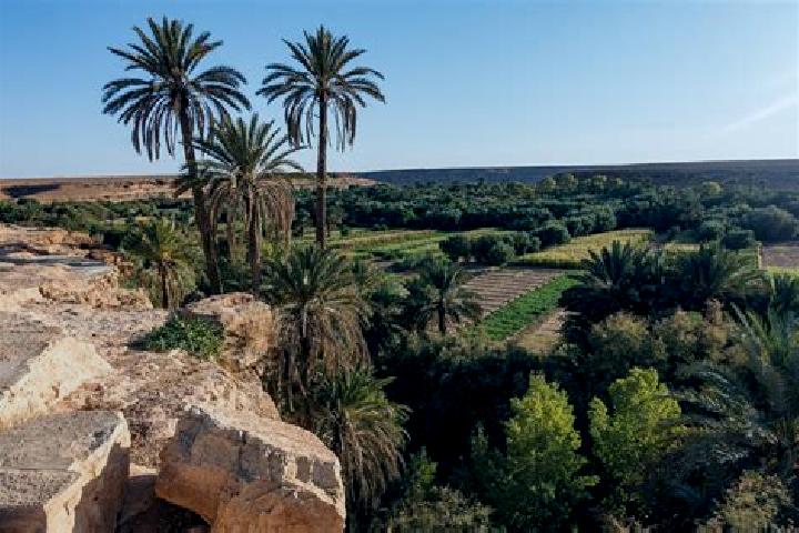 13 escort profiles in Errachidia, Morocco. Browse companions, services, rates and book online. Incall and outcall available.