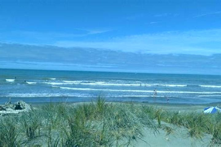 13 escort profiles in Foxton Beach, New Zealand. Browse companions, services, rates and book online. Incall and outcall available.