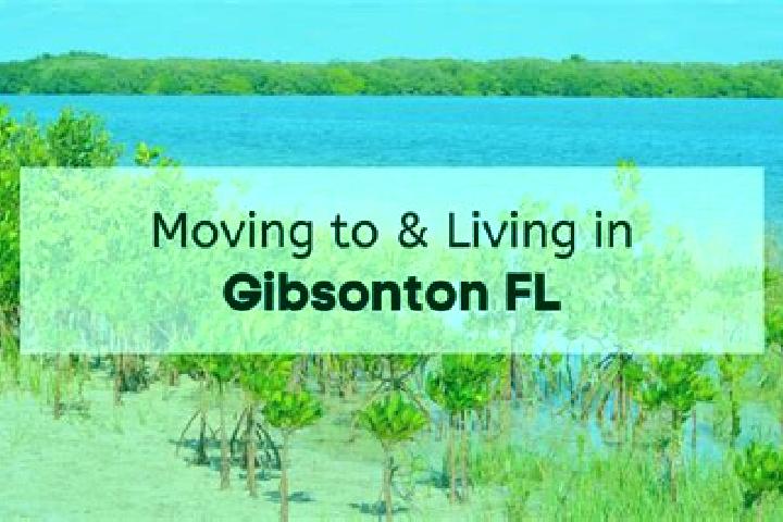 13 escort profiles in Gibsonton, United States. Browse companions, services, rates and book online. Incall and outcall available.