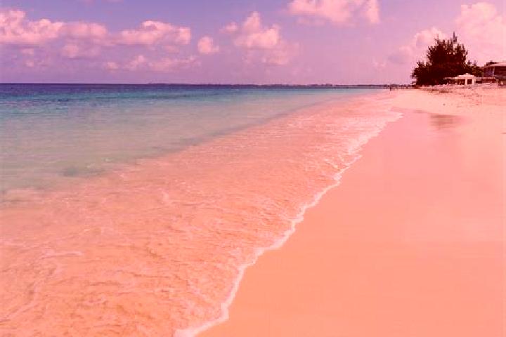 13 escort profiles in Half Way Ground, Cayman Islands. Browse companions, services, rates and book online. Incall and outcall available.