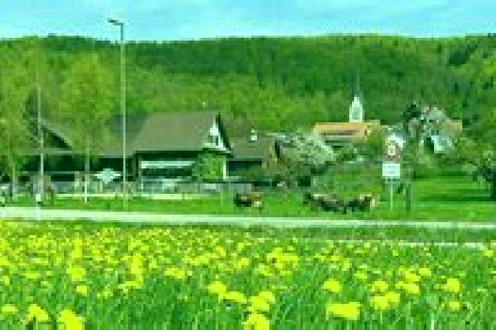 13 escort profiles in Hausen am Albis / Hausen (Dorf), Switzerland. Browse companions, services, rates and book online. Incall and outcall available.