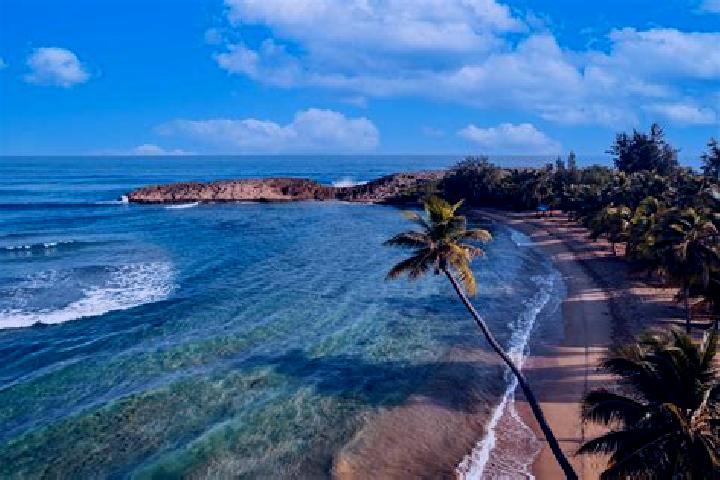 13 escort profiles in La Playa, Puerto Rico. Browse companions, services, rates and book online. Incall and outcall available.