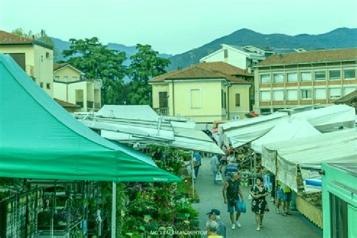 13 escort profiles in Luino, Italy. Browse companions, services, rates and book online. Incall and outcall available.