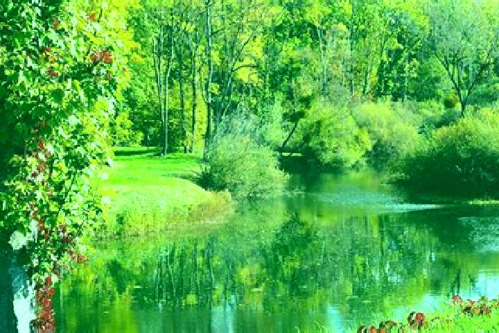 13 escort profiles in Marcilly-sur-Vienne, France. Browse companions, services, rates and book online. Incall and outcall available.
