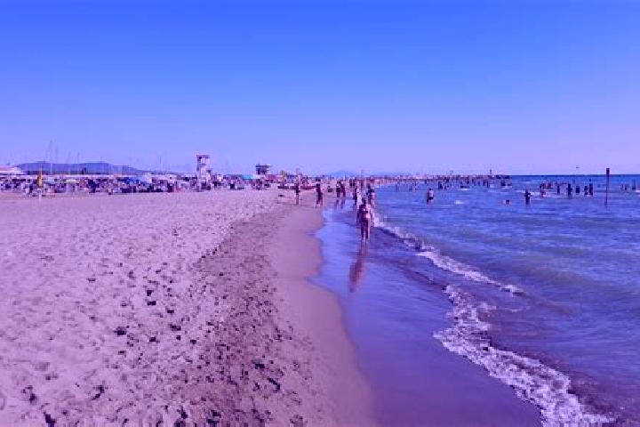 13 escort profiles in Marina di Grosseto, Italy. Browse companions, services, rates and book online. Incall and outcall available.