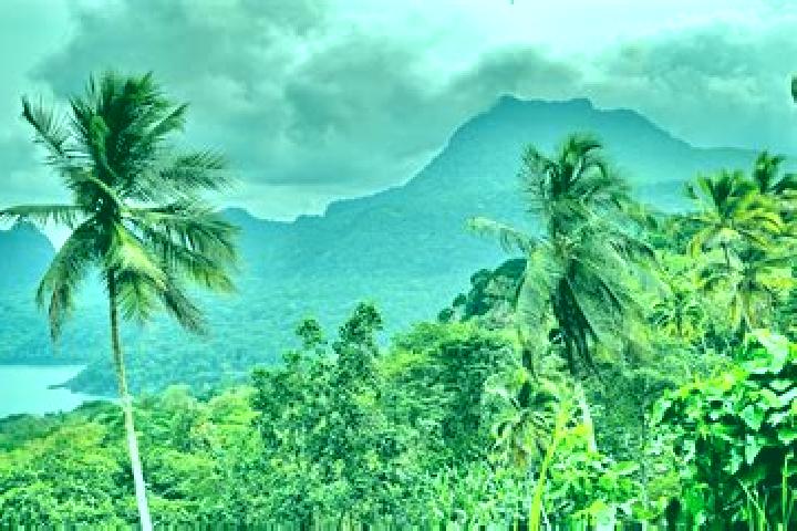 13 escort profiles in Melhorada, Sao Tome and Principe. Browse companions, services, rates and book online. Incall and outcall available.