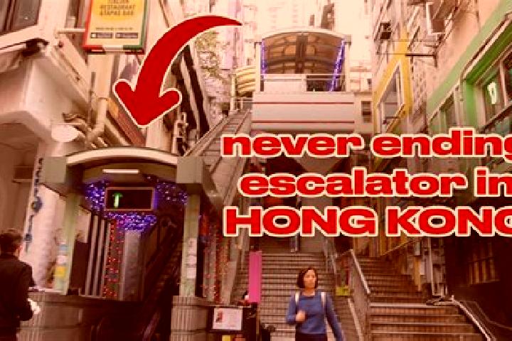 13 escort profiles in Mid Levels, Hong Kong. Browse companions, services, rates and book online. Incall and outcall available.
