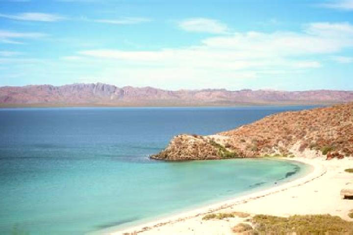 13 escort profiles in Mulege, Mexico. Browse companions, services, rates and book online. Incall and outcall available.