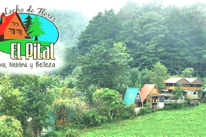 13 escort profiles in Pital, Costa Rica. Browse companions, services, rates and book online. Incall and outcall available.