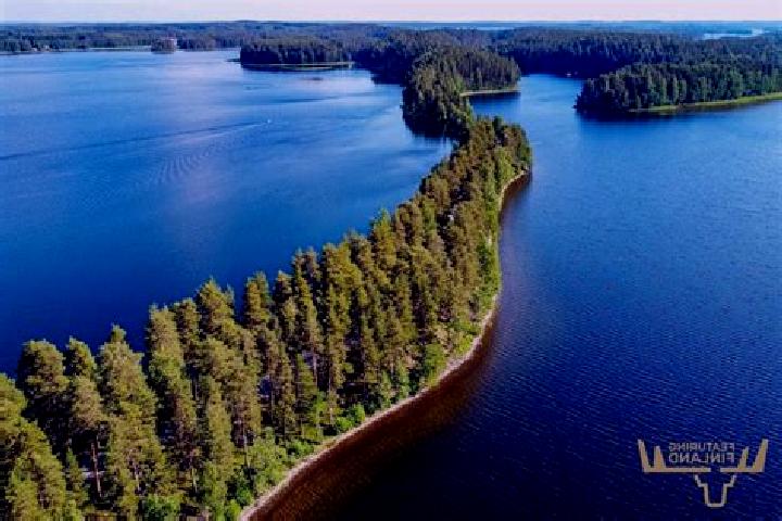 13 escort profiles in Punkaharju, Finland. Browse companions, services, rates and book online. Incall and outcall available.