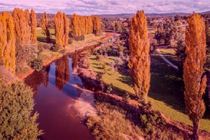 13 escort profiles in Queanbeyan West, Australia. Browse companions, services, rates and book online. Incall and outcall available.